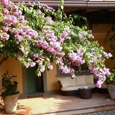 Villa Deliziosa *